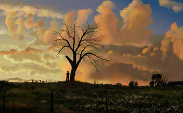 Tree Sunset