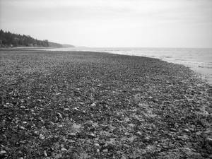 Beach view.