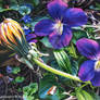 Dandelion with Violets