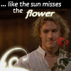 I Miss You...-A Knight's Tale