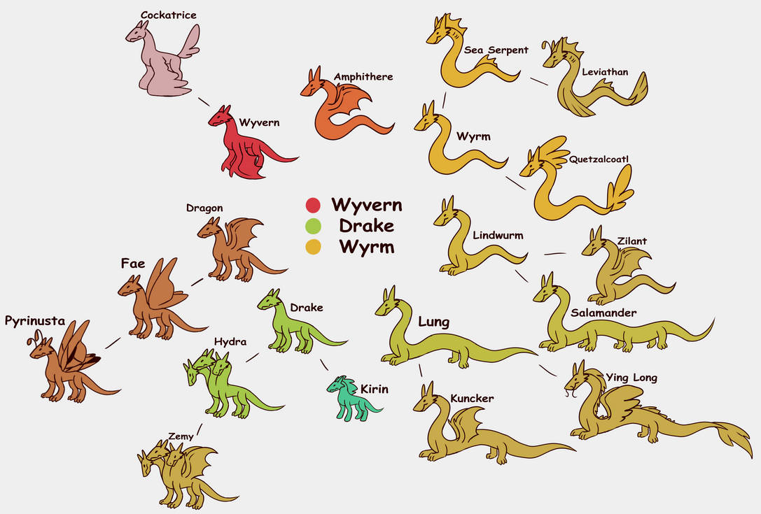 Rare Dragon Chart