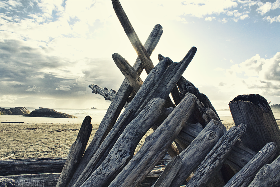 A Beach's Spine