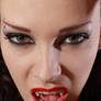 Vamp Love XVI