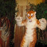 Golden Tiger Costume