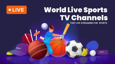 Bderfvasder2 User Profile | DeviantArt