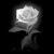 Rose icon