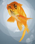 Goldfish by keyzpoof