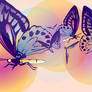 Transparent Butterflies