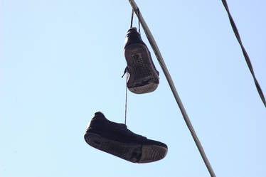 Suspended Shoe