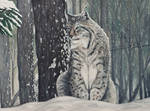 Winter by mikesblender