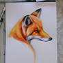 Watercolour Fox