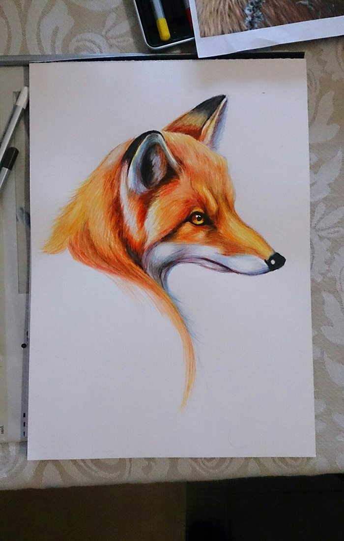 Watercolour Fox