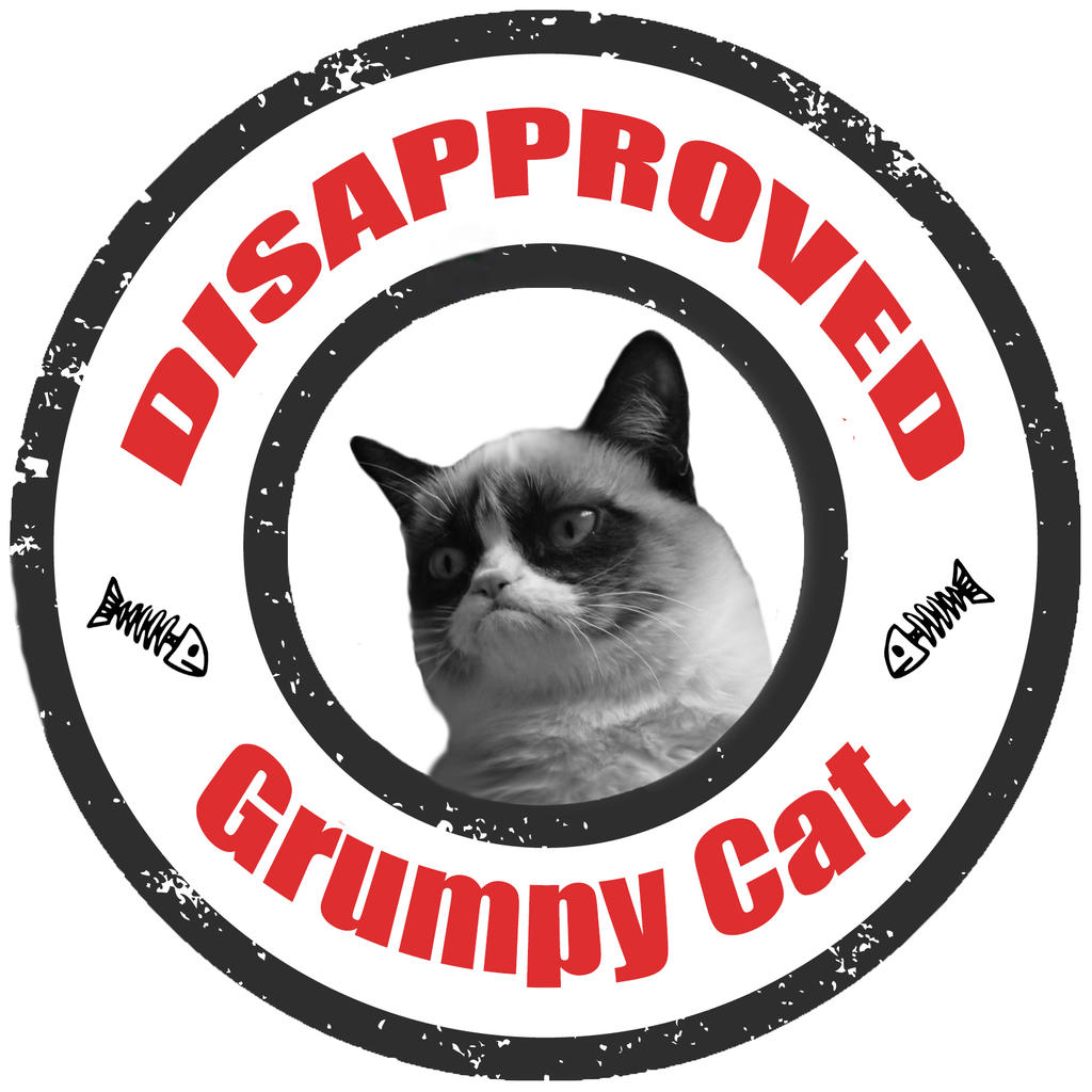 Disapproval Cat Memes Disapprove GIFs | Tenor