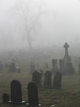 Foggy Graveyard