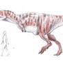 Tarascosaurus salluvicus size comparison