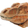 T-rex head detail
