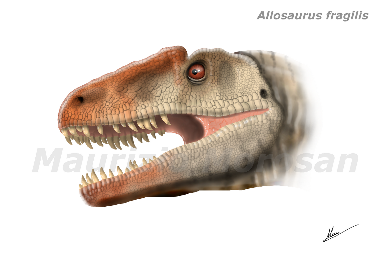 Allosaurus fragilis