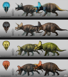 Triceratops Concept Design by MoriceMonkey93