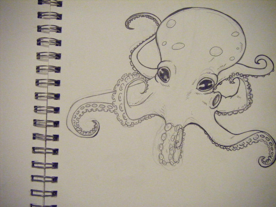 'nother octopus
