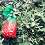 Strawberry Fields Forever.