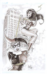 Wonder Woman VS Harley Quinn