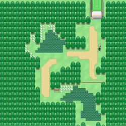 Pokemon Morning/Night MAP Route 1.