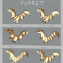 Furret Variations