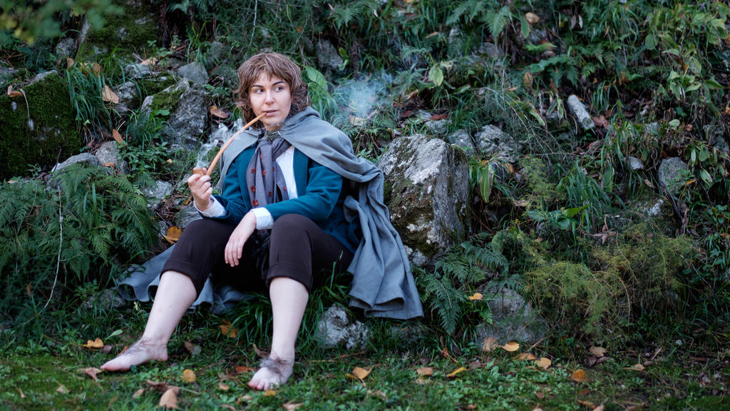 Pippin by ilcielocapovolto on DeviantArt