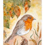 European Robin - Rotkehlchen 2.0