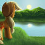Moment Before Sunset