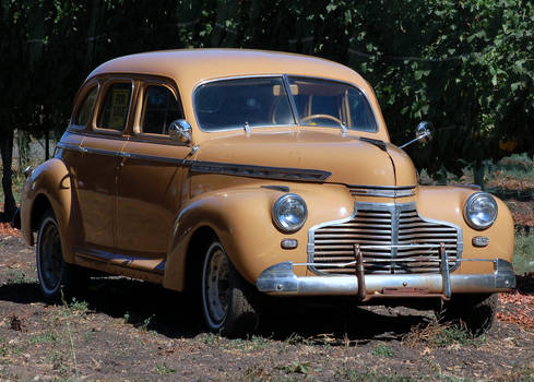 A Chevy in the vineyard...