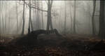 Jan 571 by LukeMajewski Jan 571 by LukeMajewski