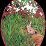 bunny under the azaleas