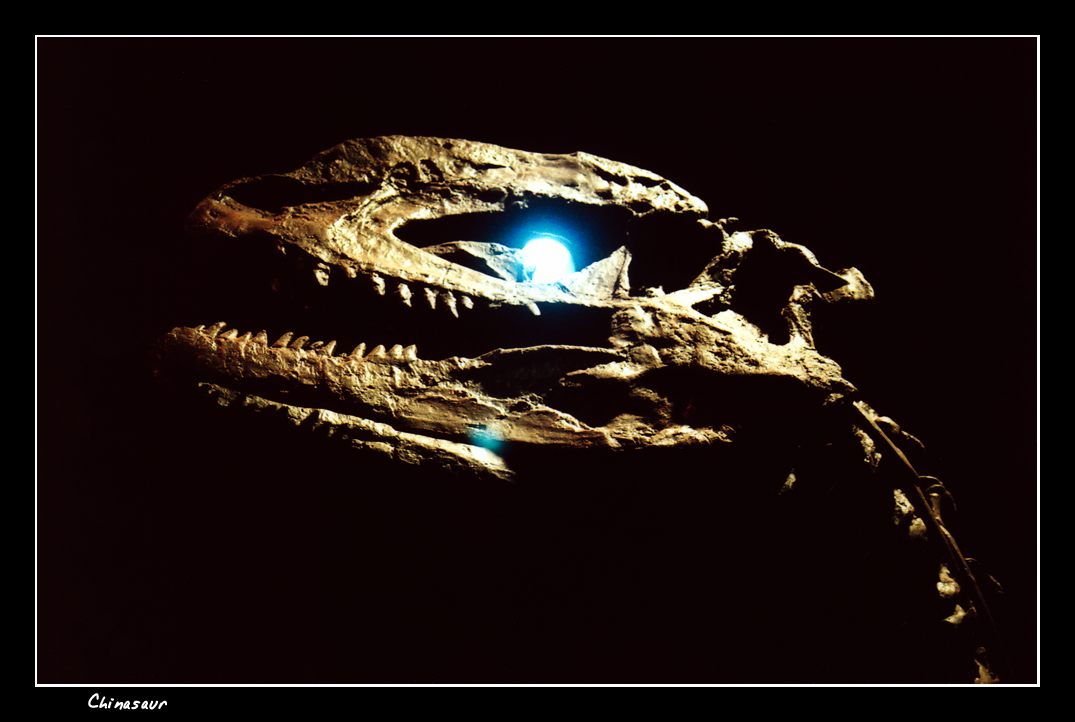 Chinasaur 1 by vbgecko