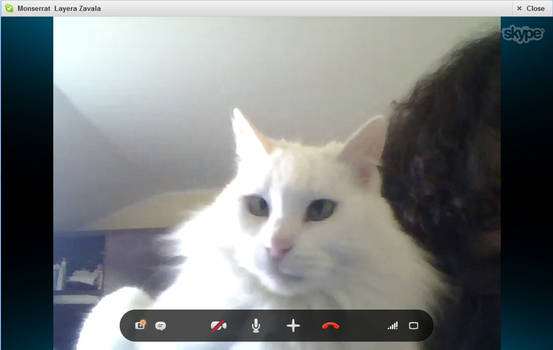 Kitty Videocall LOL