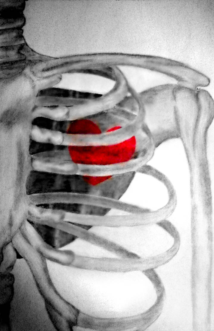 Ribs by AsTheNeedleScratches on DeviantArt