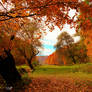 Autumn colours III