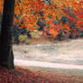 A piece of autumn II