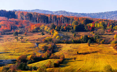 Autumn by valiunic