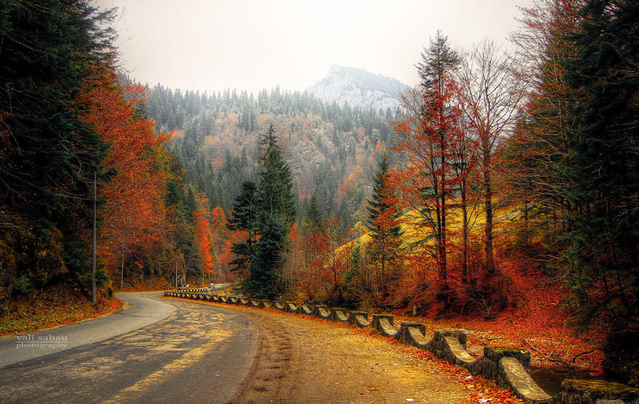 Autumn road II