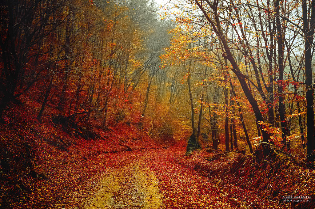 Falln Visual Picture of fall II by valiunic on DeviantArt
