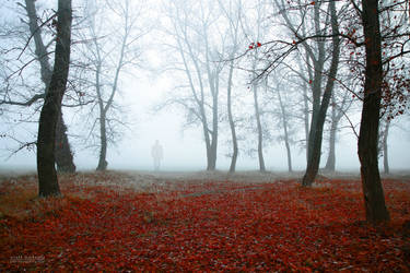 Walking through the fog by valiunic