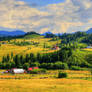 Country view