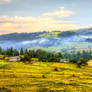 Morning country view