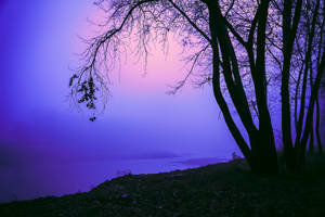 Twilight
