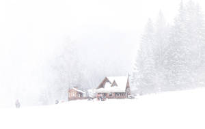 Winter Moment