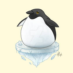 Chubby Penguin