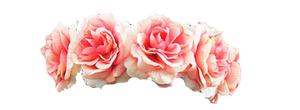 Pink Flower Crown PNG