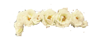 White Flower Crown PNG