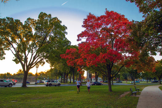 DC Autumn